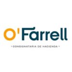 WhatsApp Image 2025-06-13 at 12.21.11 (1)