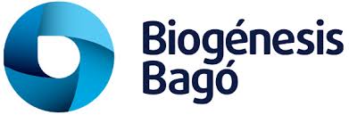 WhatsApp Image 2025-06-13 at 12.21.11