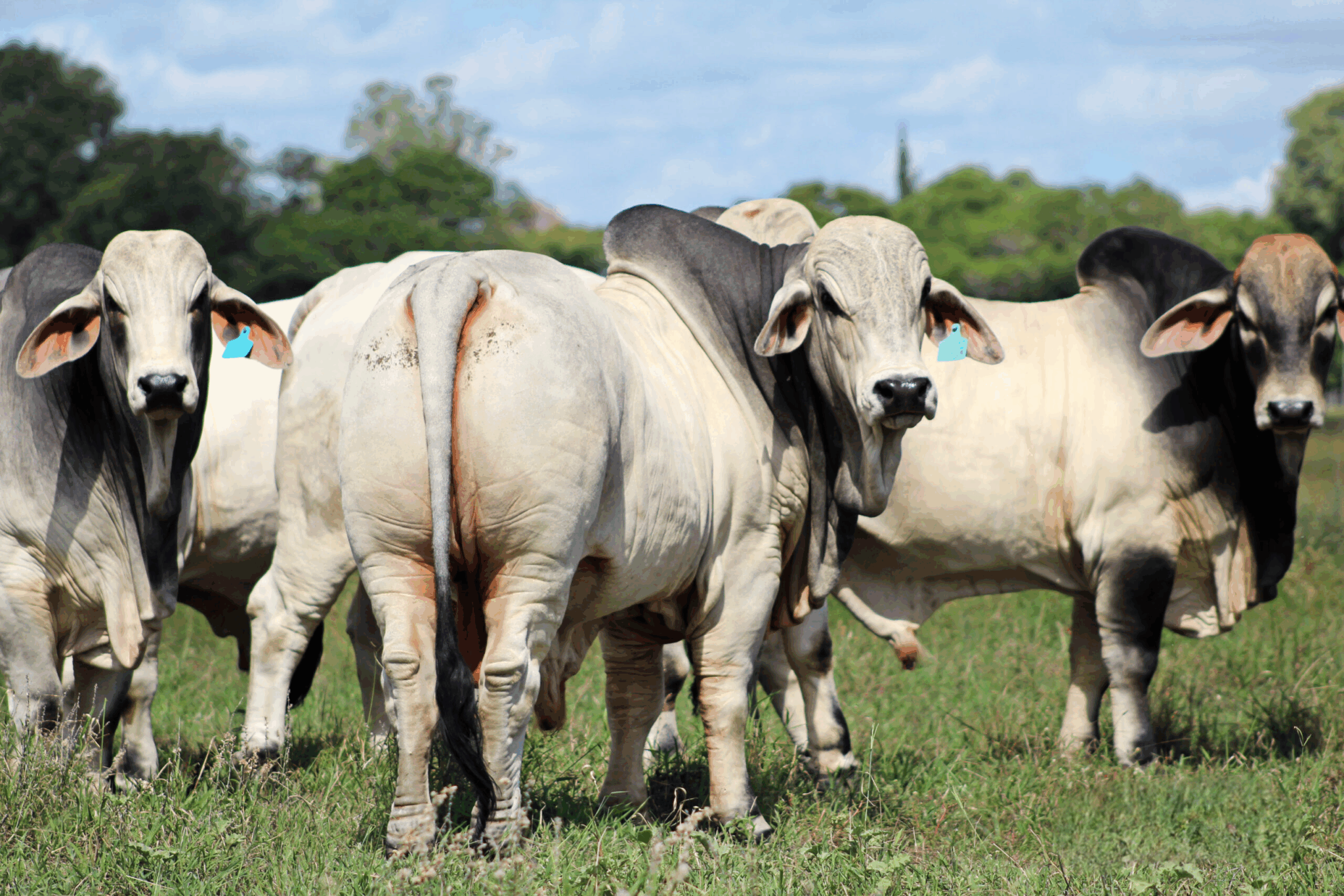 4eec9fcc-44c4-42b6-be0b-4f820e057670